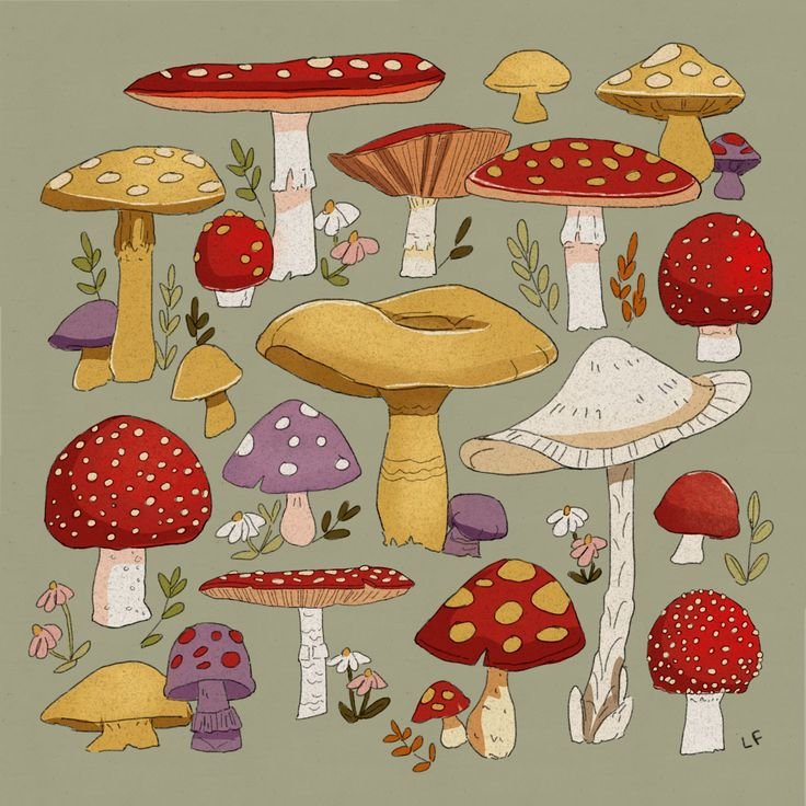 Рисунки грибов инди КИД