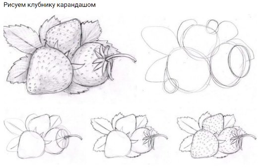 Как нарисовать клубнику карандашом
