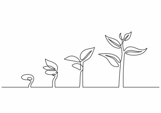 Grow vector