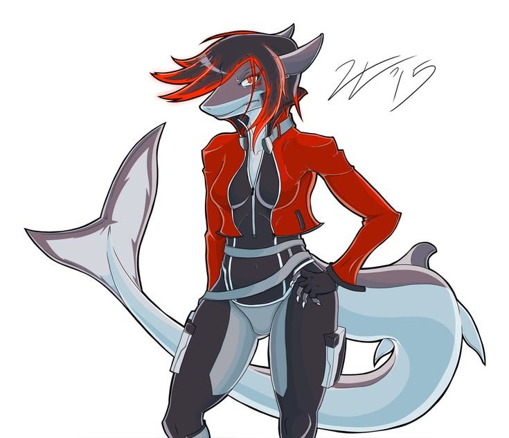 Фурри акула арт