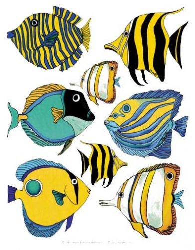 Морские рыбки
