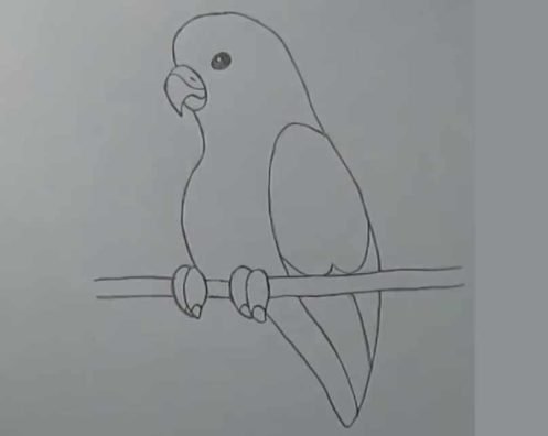 Лёгкий рисунок попугая для срисовки