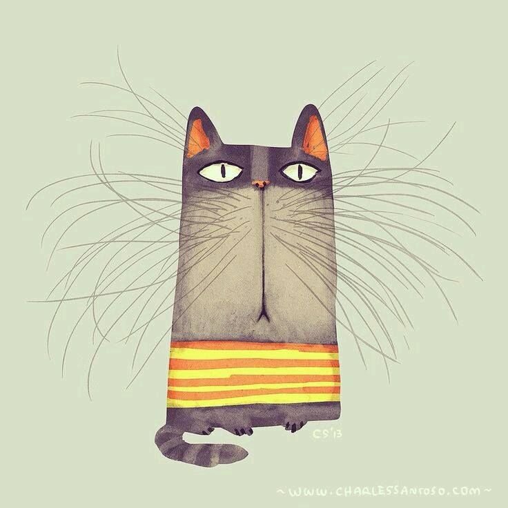 Котик рисунок