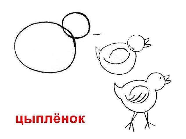 Рисование цыпленок