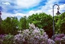 Ботанический сад Калуга