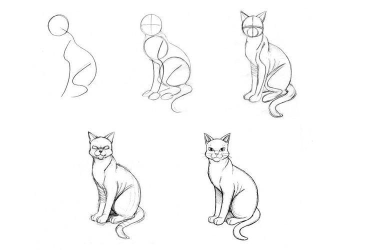 Кошка рисунок