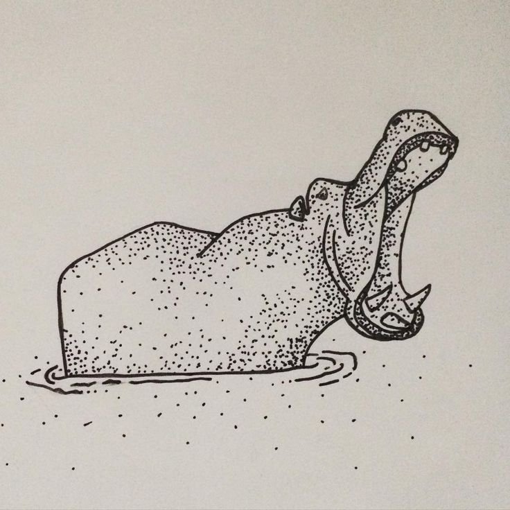 Бегемотик рисунок