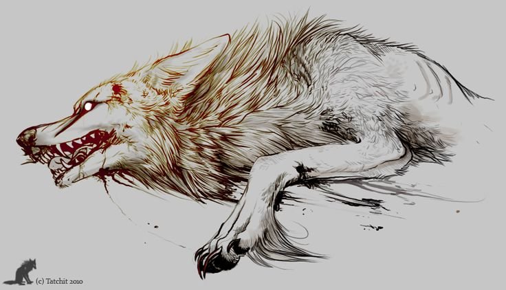 Волк рисунок