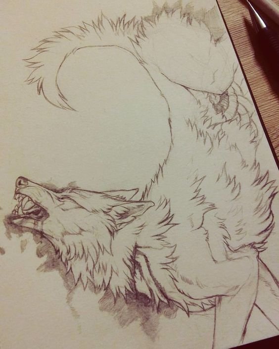 Арты карандашом животные
