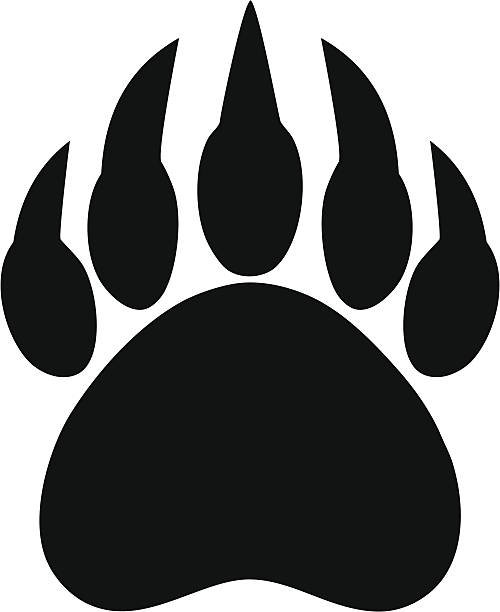 Panda Paw vector