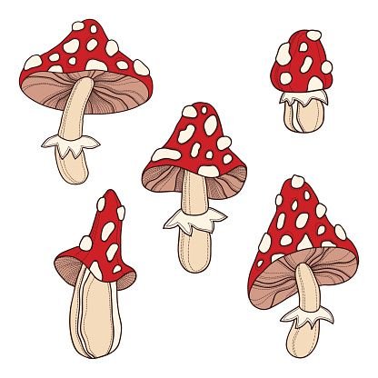 Мухомор рисунок инди КИД
