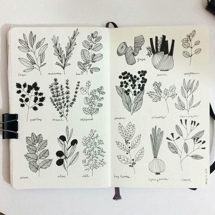 Рисунки для скайтч бука