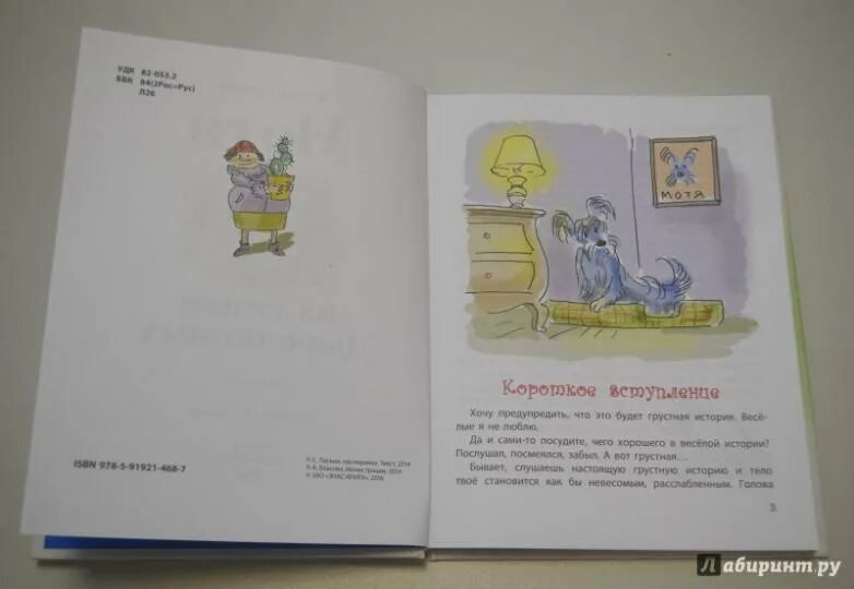 Миша Ласкин