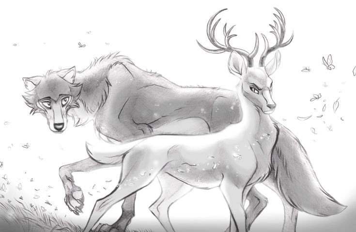 Beastars Риз