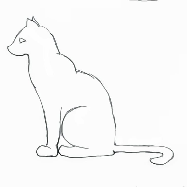 Кошка рисунок карандашом