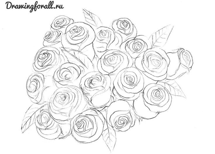 Рисунок розы для срисовки