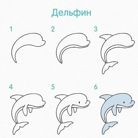 Схемы рисования морских обитателей для дошкольников