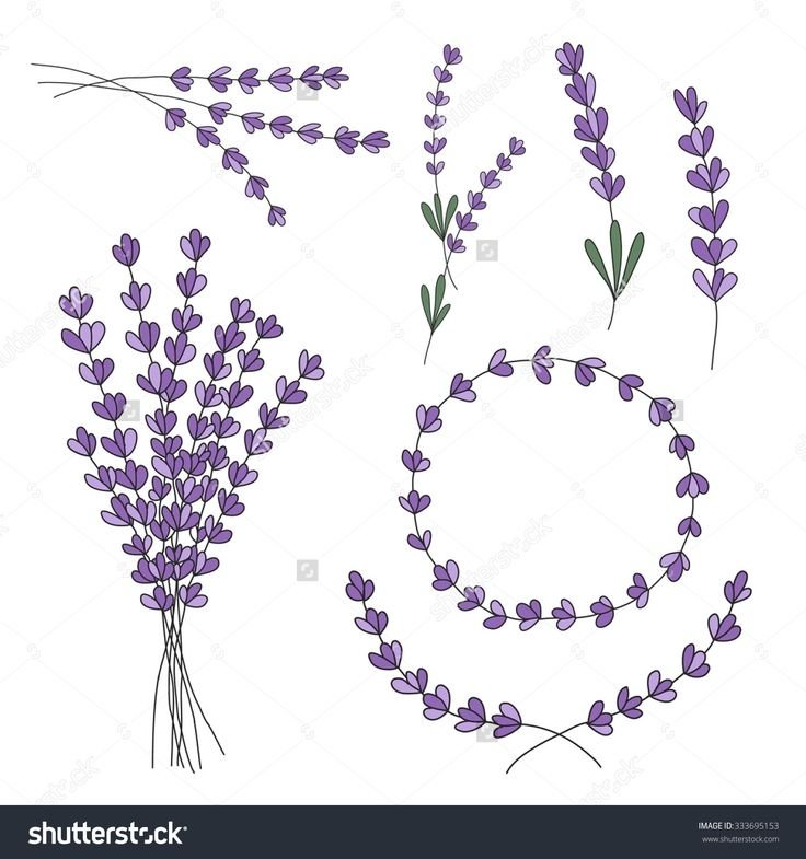 Лаванды легко