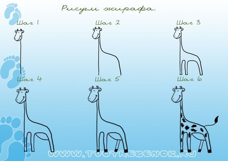 Поэтапное рисование жирафа