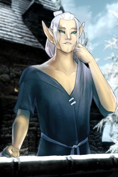 The Elder Scrolls снежные эльфы
