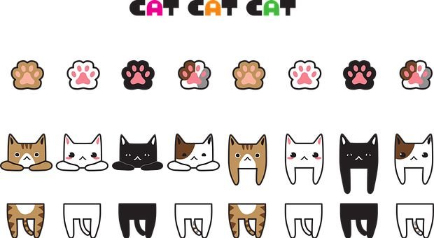 Лапка котика рисунок