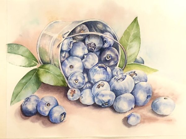 Черника акварель