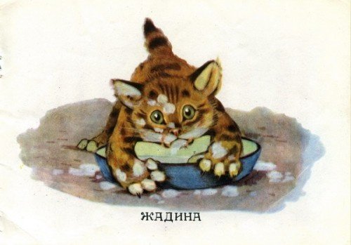 Жадный котенок