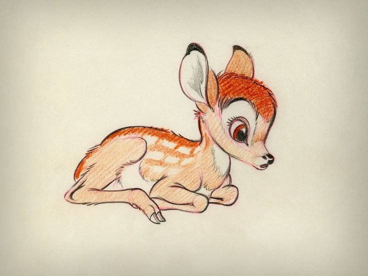 Рисунки животных