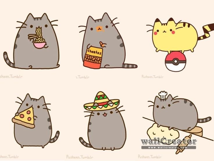 Рисунки для срисовки котики
