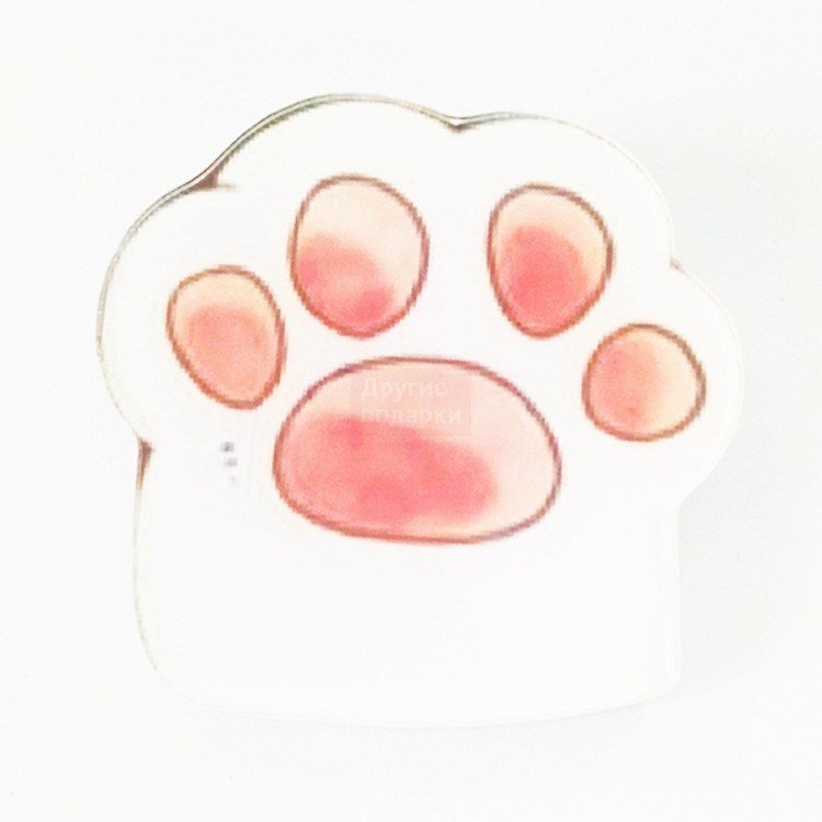 Лапка котика
