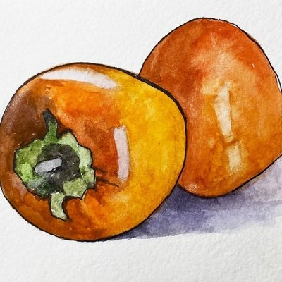 Хурма рисунок карандашом