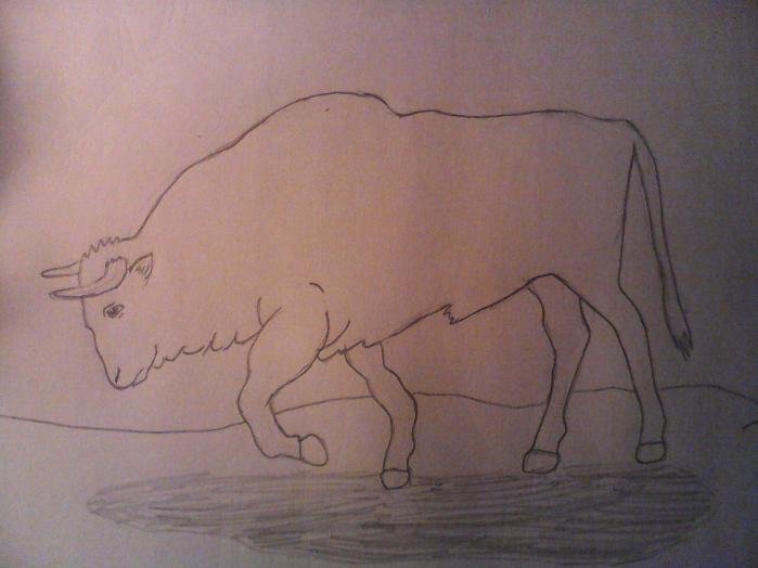 Нарисовать быка