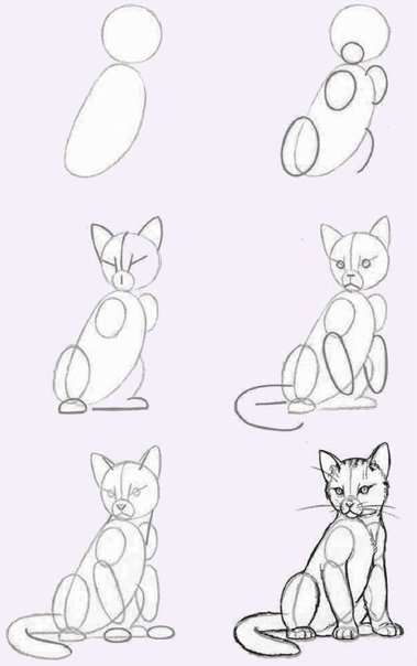 Схема рисования кошки