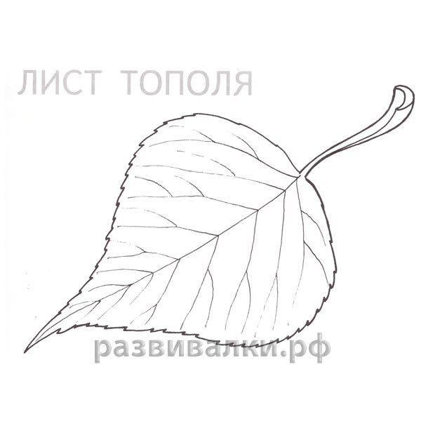 Листья раскраска для детей