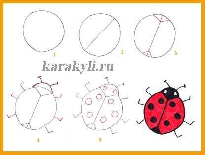 Божья коровка поэтапное рисование для детей