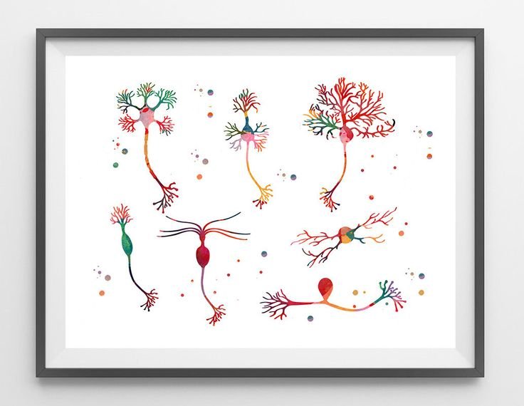 Neurology Wall Art