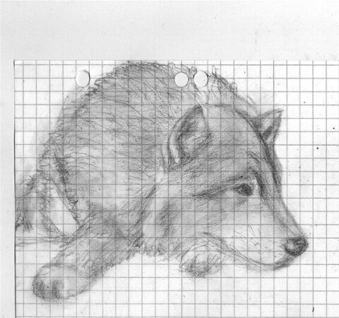 Рисунки по клеточкам карандашом