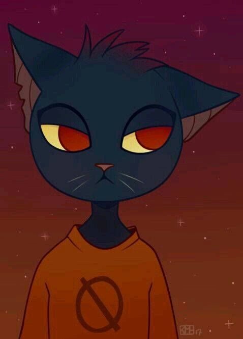 Мэй Night in