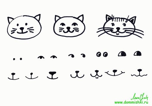 Мордашка котика легко