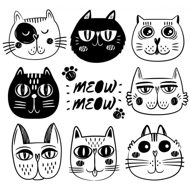Стикер "котик"