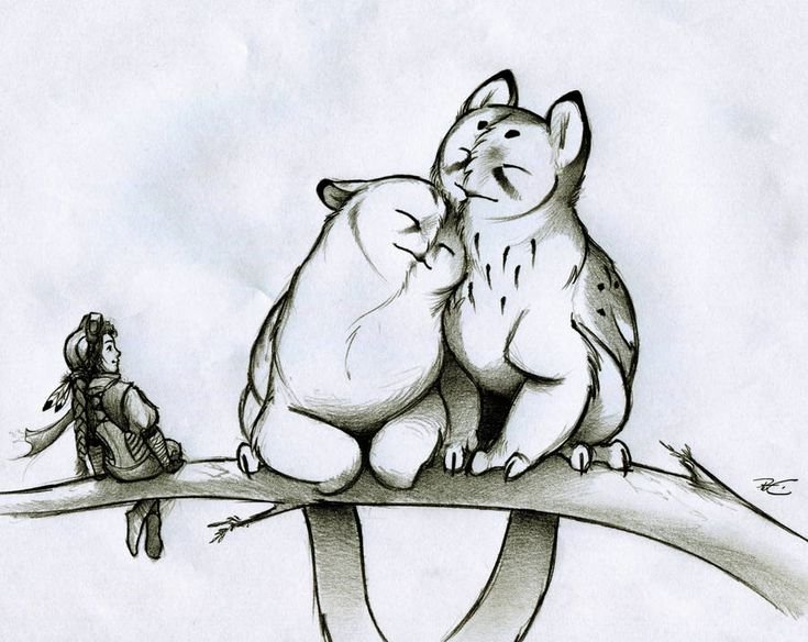 Котосова рисунок