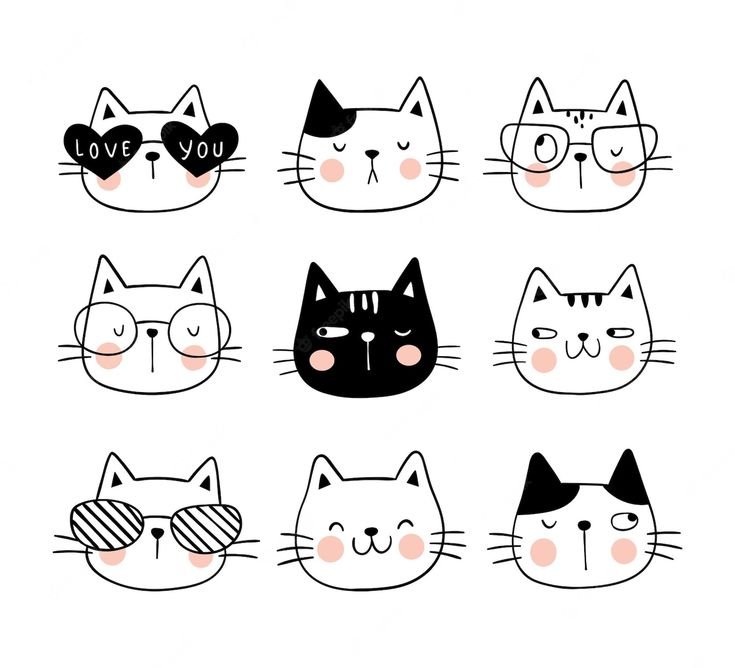 Мордочка котика