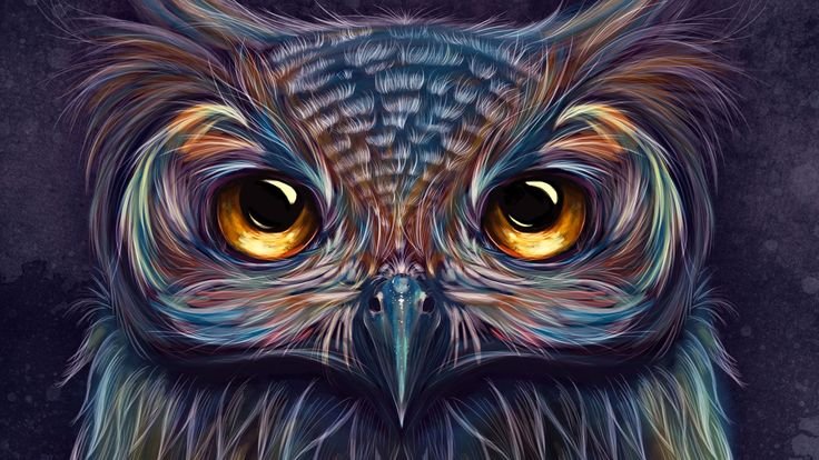 Обои сова арт
