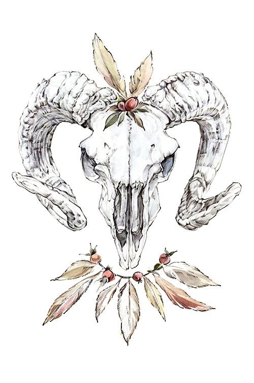 Череп козла эскиз