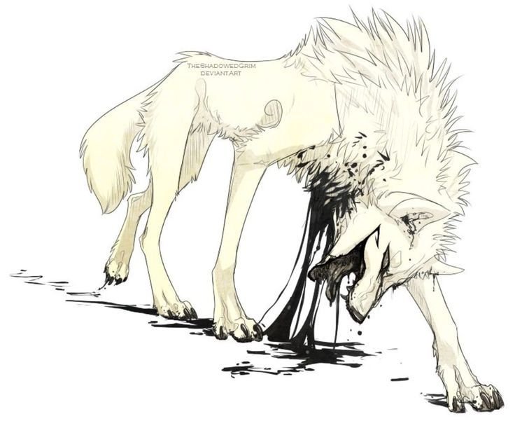 Арт мертвый волк