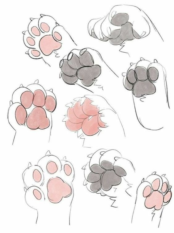 Кошачьи лапы референс