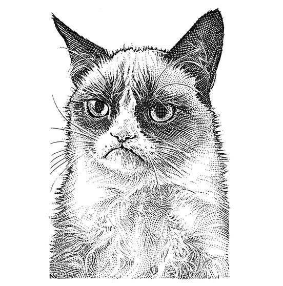 Кот рисунок
