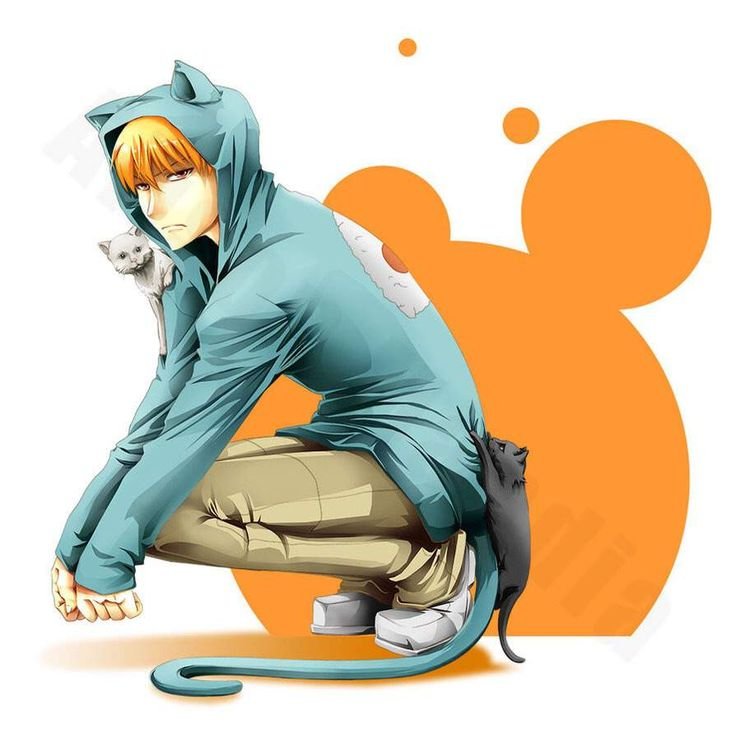 Kyo Sohma аниме