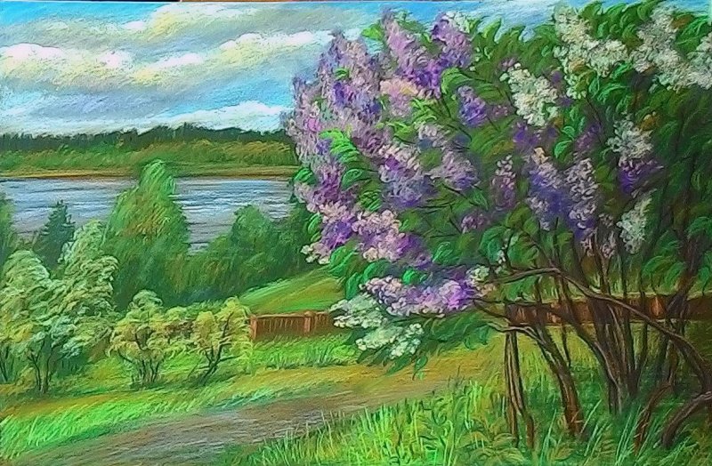 Рахманинов сирень