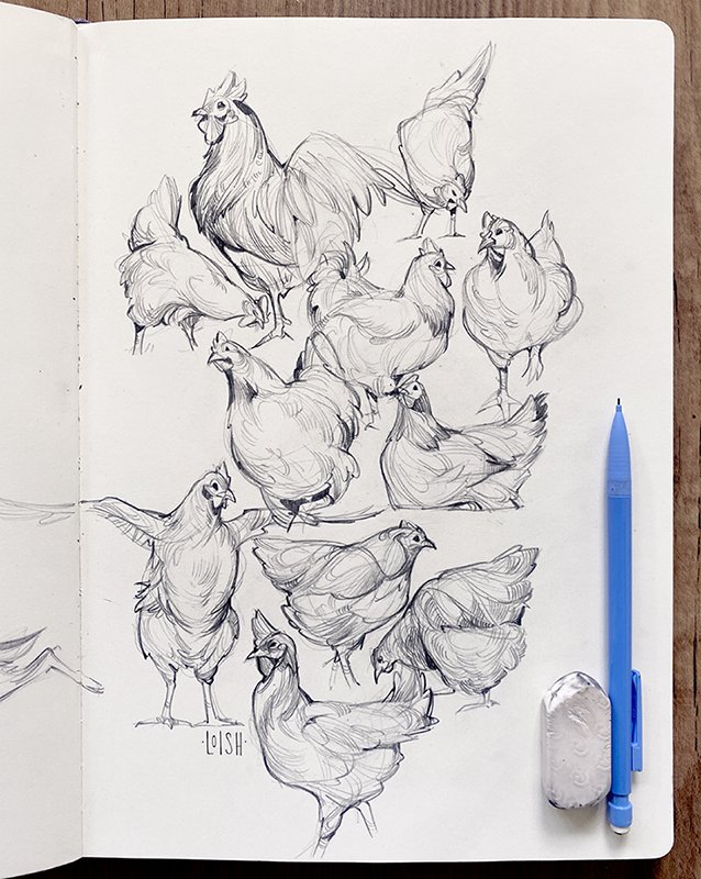 Курица скетч